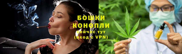 гидра Белокуриха