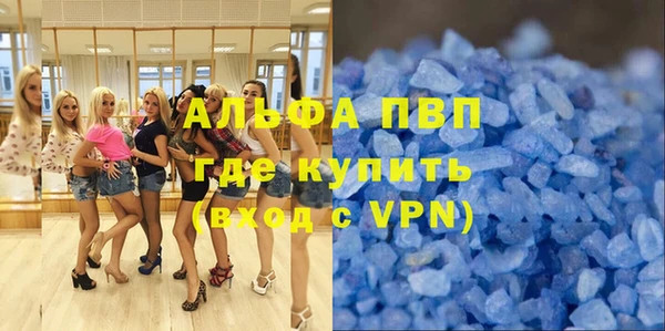 гидра Белокуриха