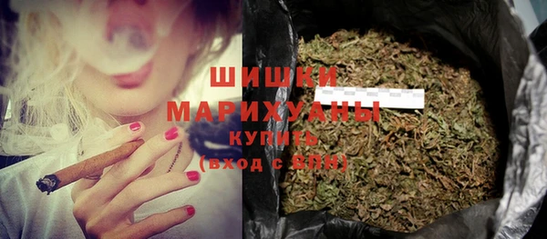 гидра Белокуриха