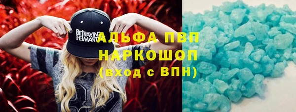 гидра Белокуриха